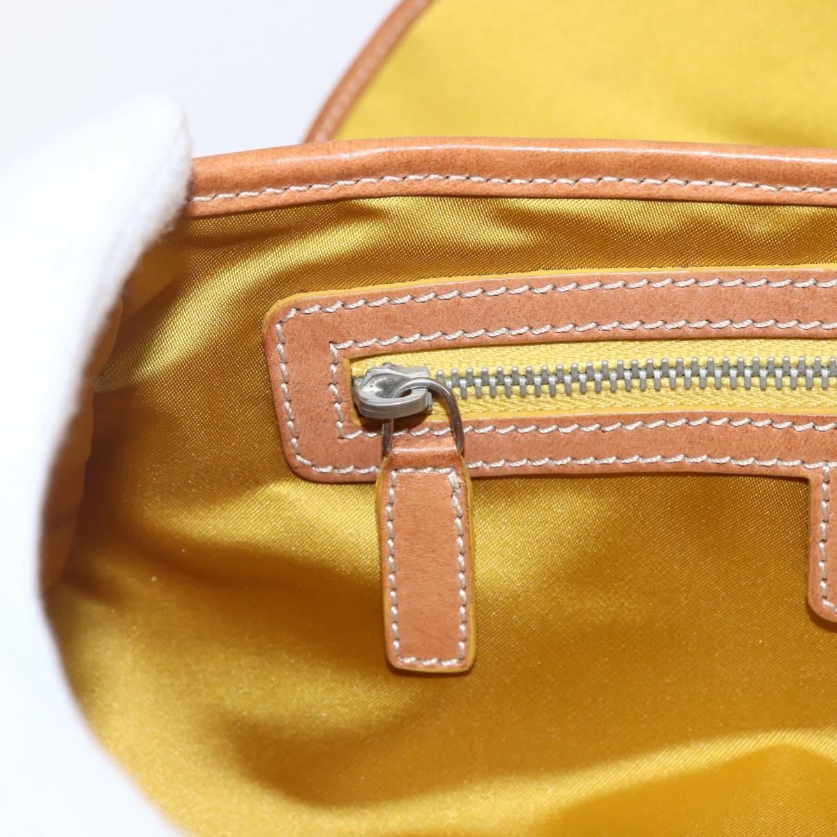 Christian Dior Trotter Canvas Romantic Chain Bag PVC Ivory Silver Auth 170012SAV