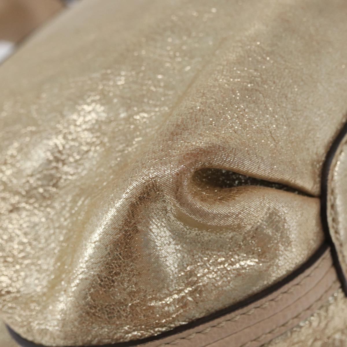 Chloe Elsie Hand Bag Leather 2way Gold Auth 170081