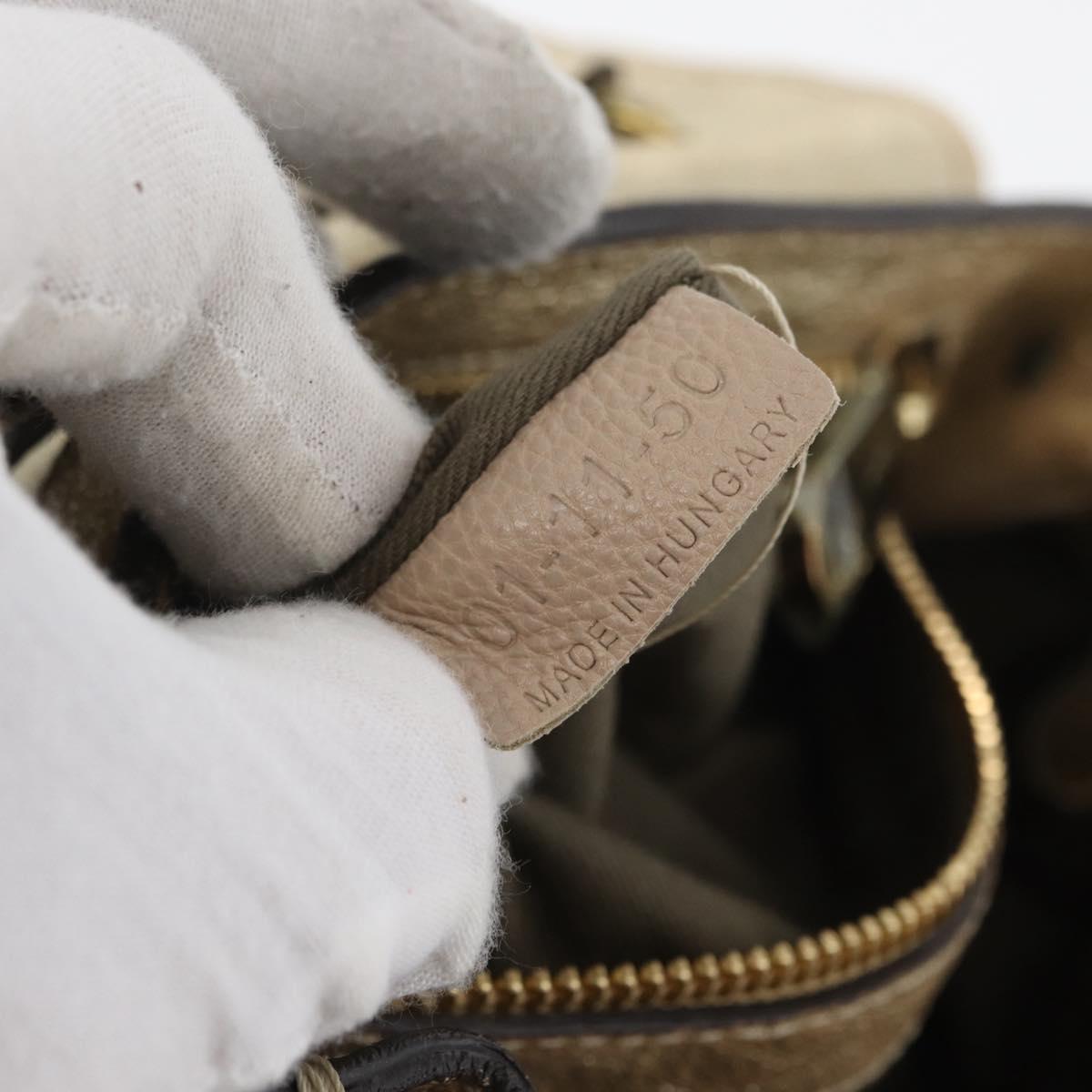 Chloe Elsie Hand Bag Leather 2way Gold Auth 170081