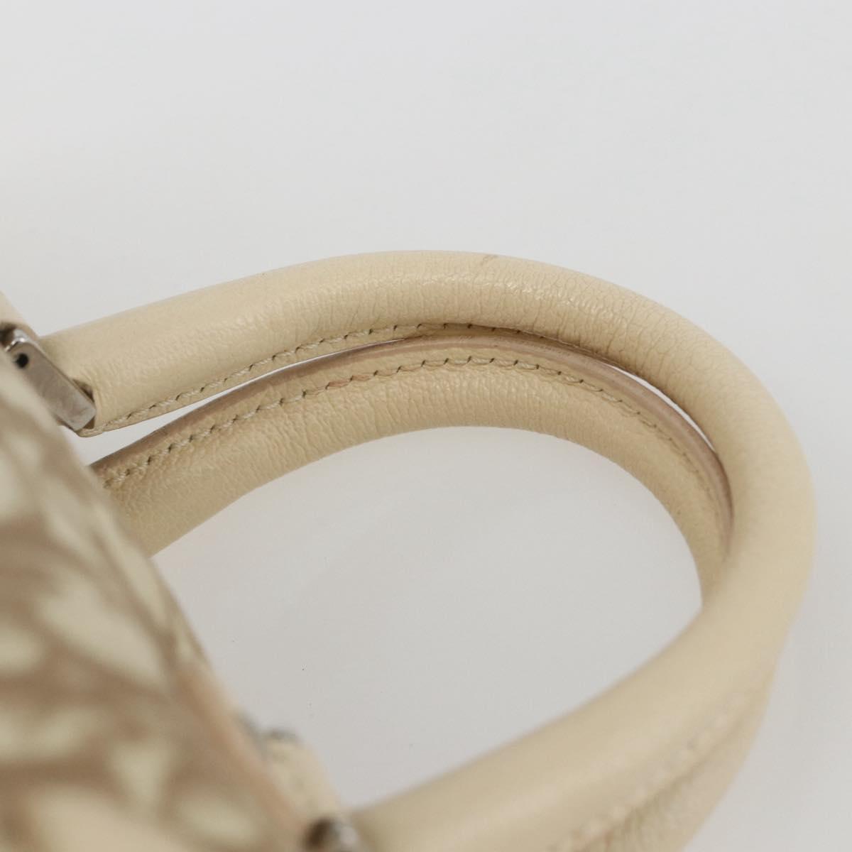 Christian Dior Trotter Canvas Hand Bag PVC Beige Silver Auth 170126V