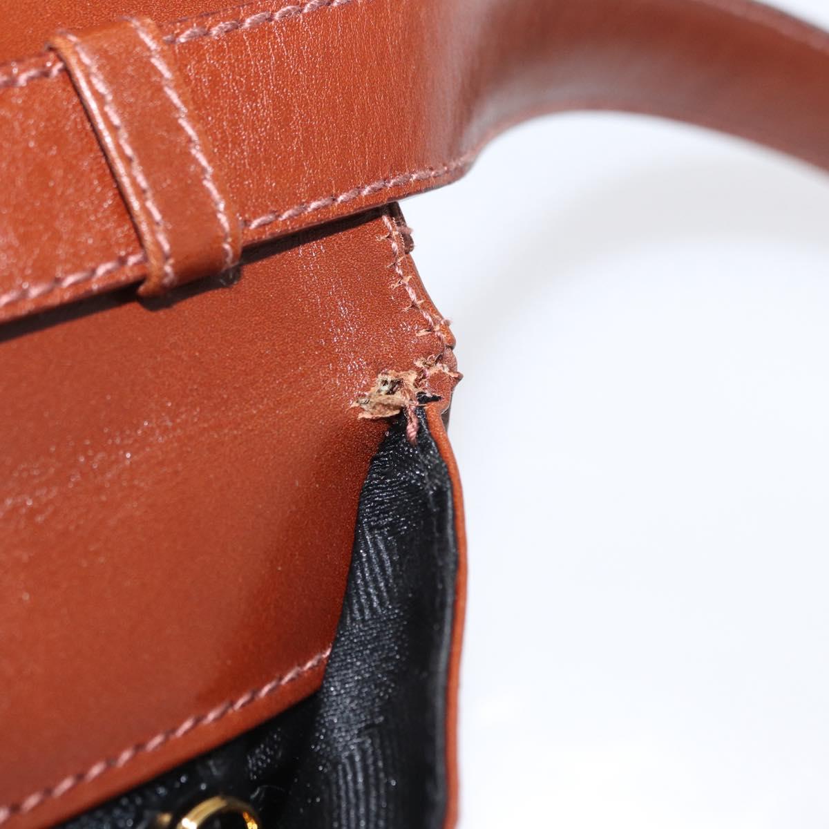 Salvatore Ferragamo Shoulder Bag Leather Brown Gold Auth 170263