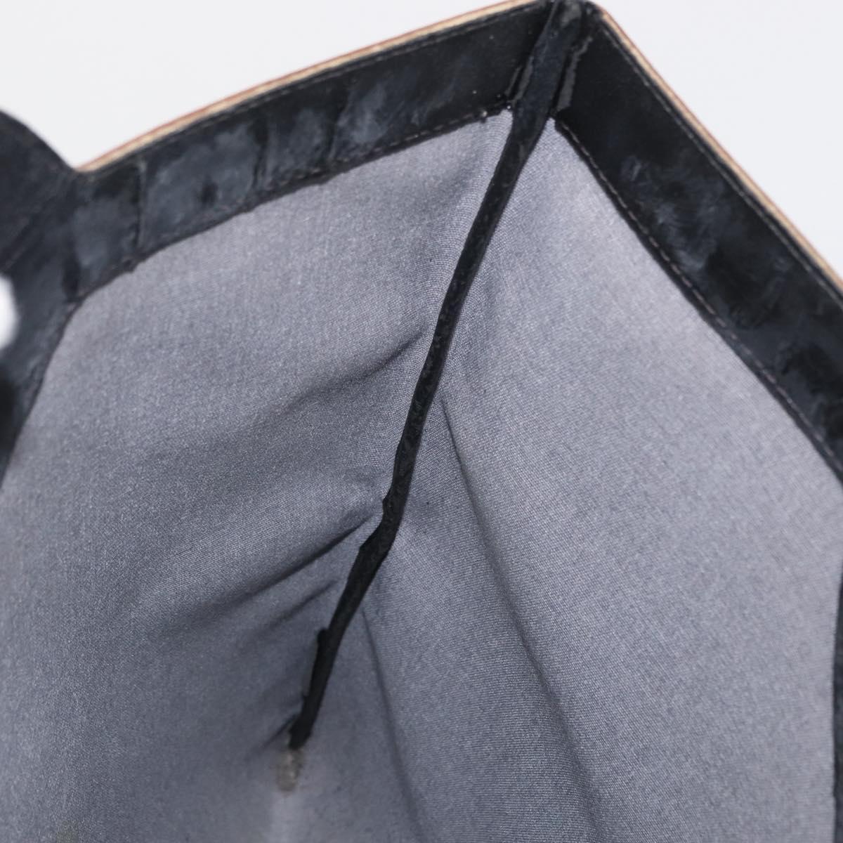 FENDI Pecan Canvas Hand Bag PVC Black Brown Auth 170331