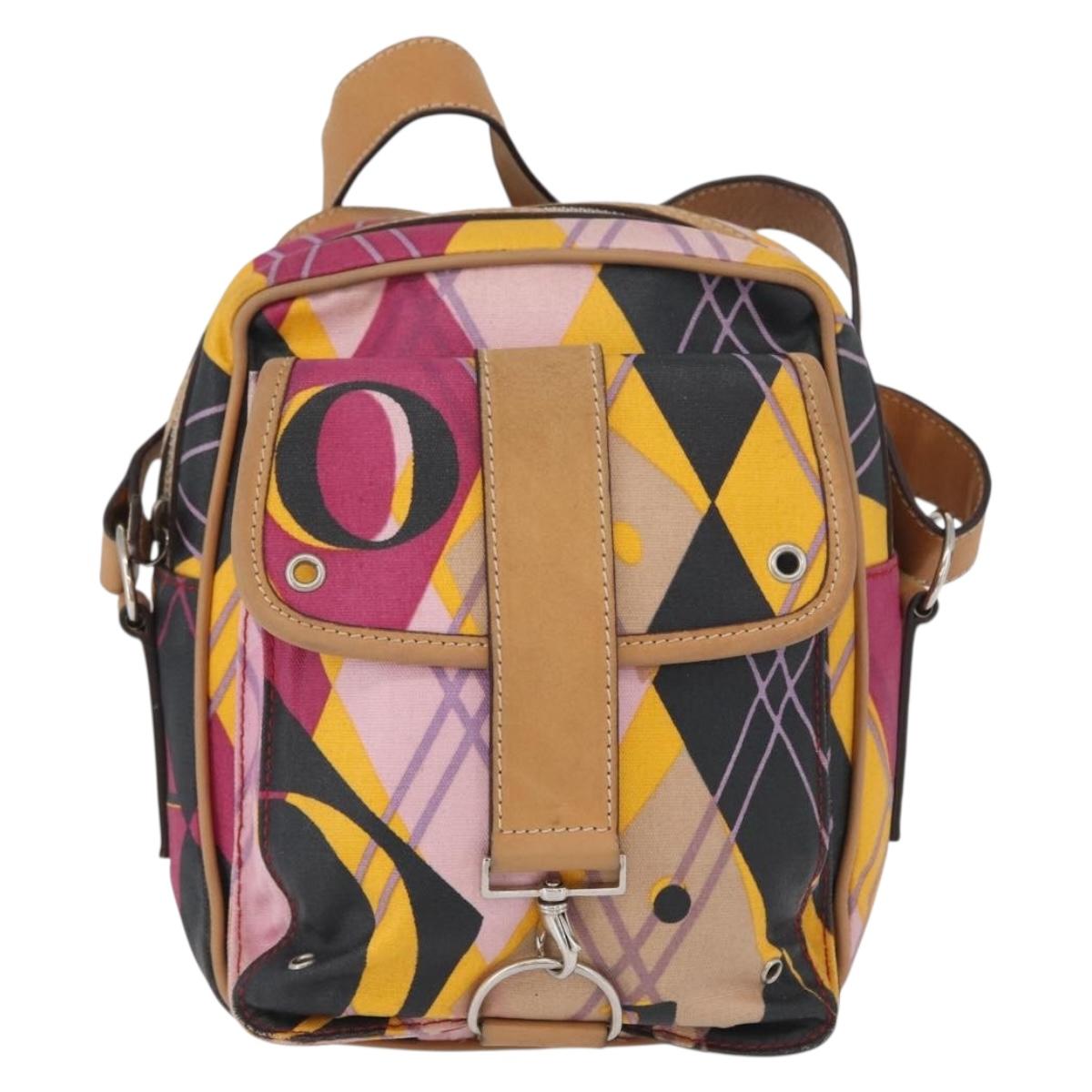 Christian Dior Shoulder Bag Coated Canvas Multicolor Silver Auth 170996