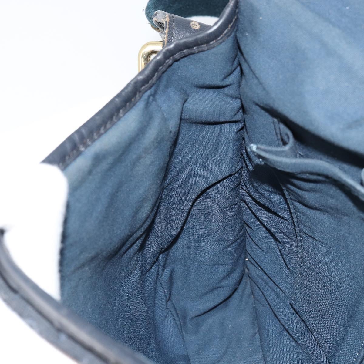 LOUIS VUITTON Monogram Mini Belanger Shoulder Bag Black M92672 LV Auth 172756