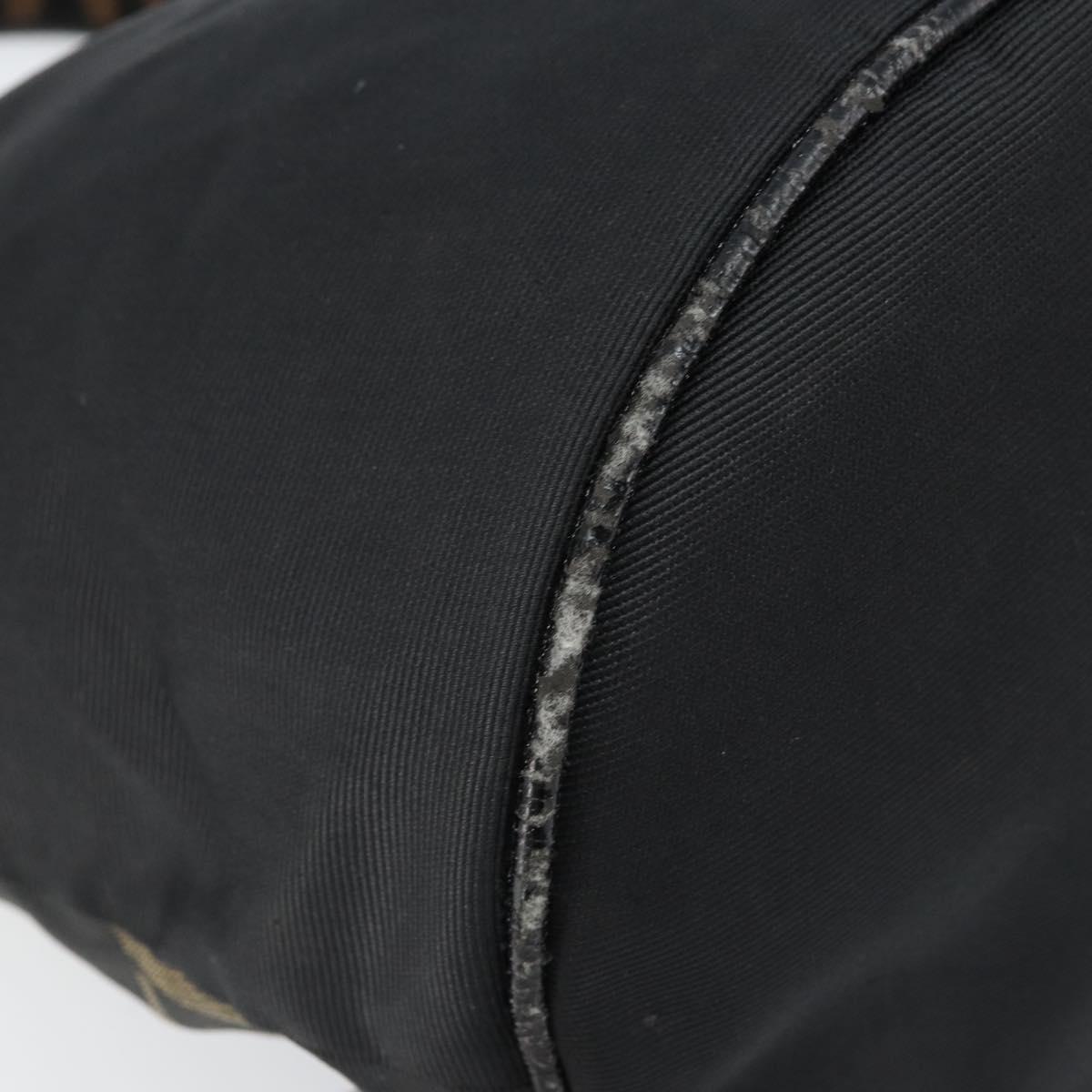 FENDI Hand Bag Nylon Black Auth 172823