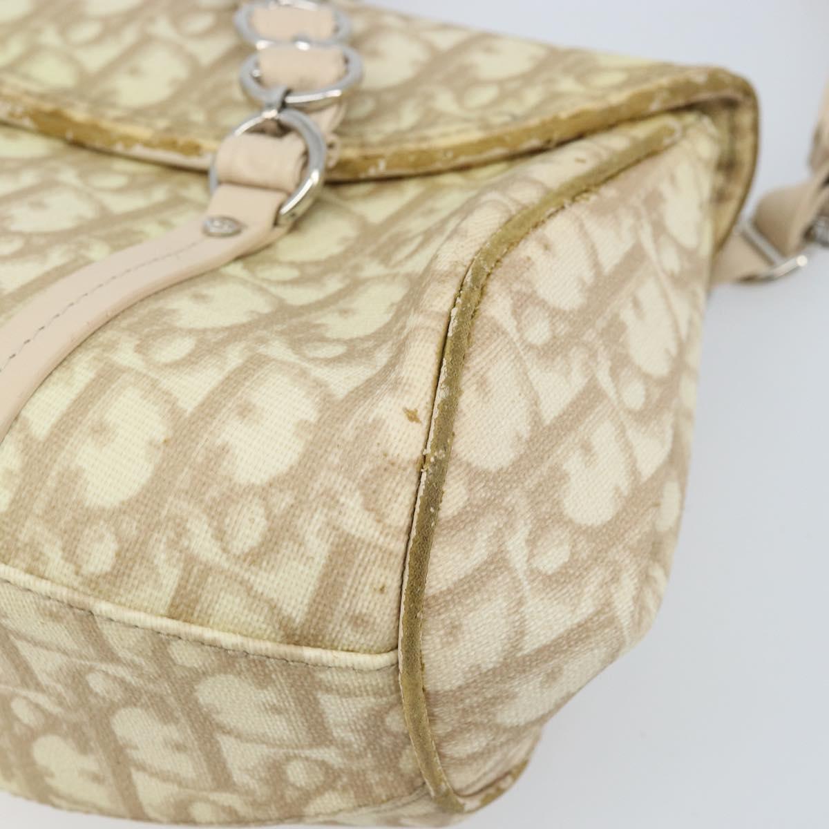 Christian Dior Trotter Canvas Chain Hand Bag PVC Beige Silver Auth 172988