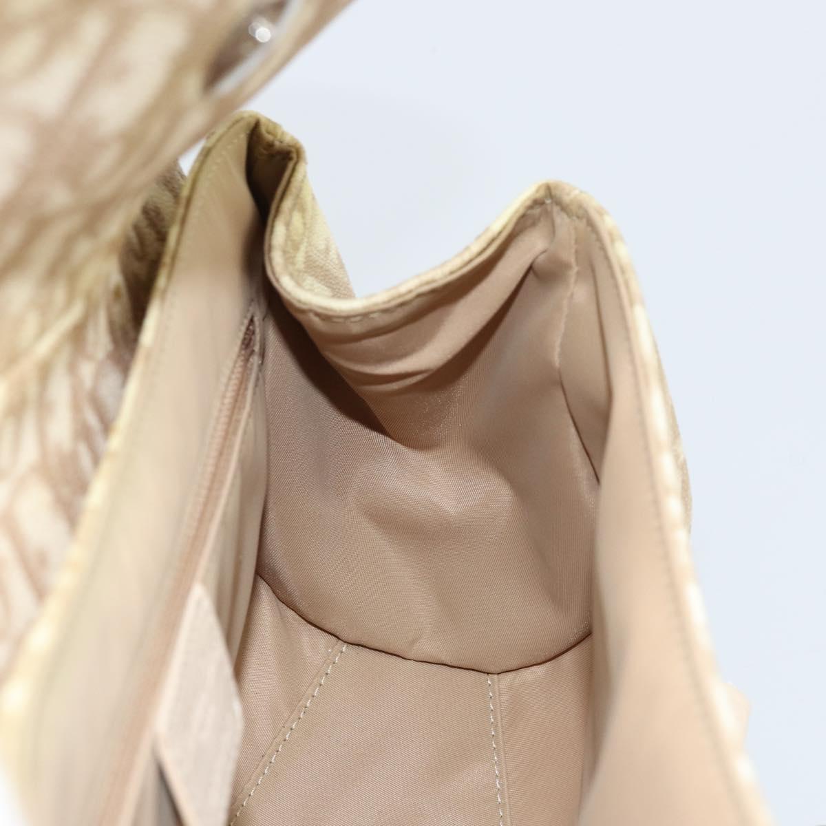 Christian Dior Trotter Canvas Chain Hand Bag PVC Beige Silver Auth 172988