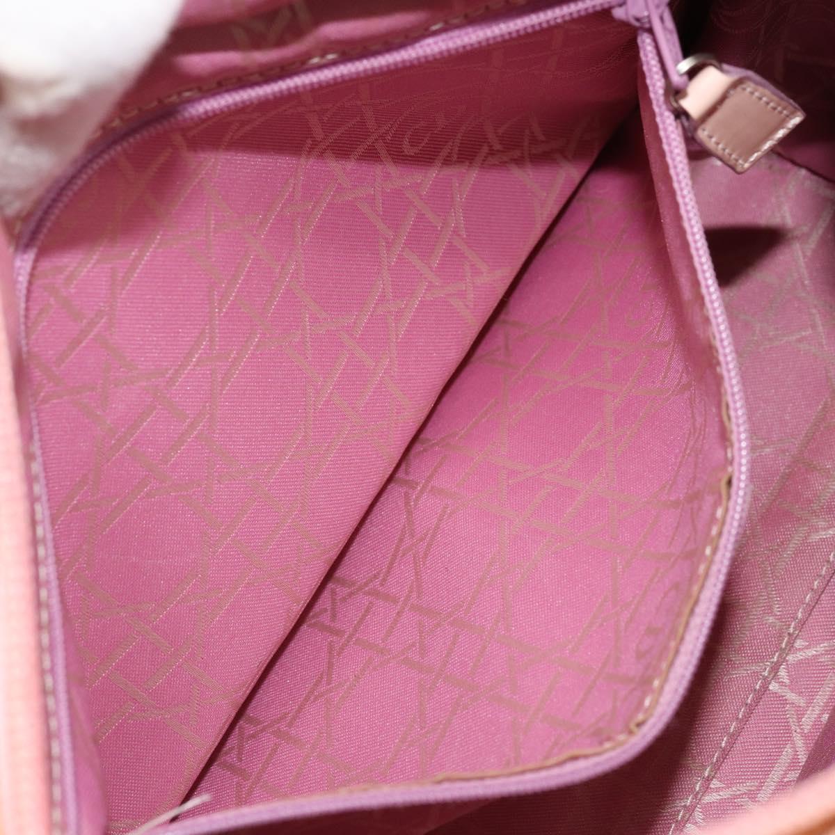 Christian Dior Lady Dior Hand Bag Nylon Pink Silver Auth 173001
