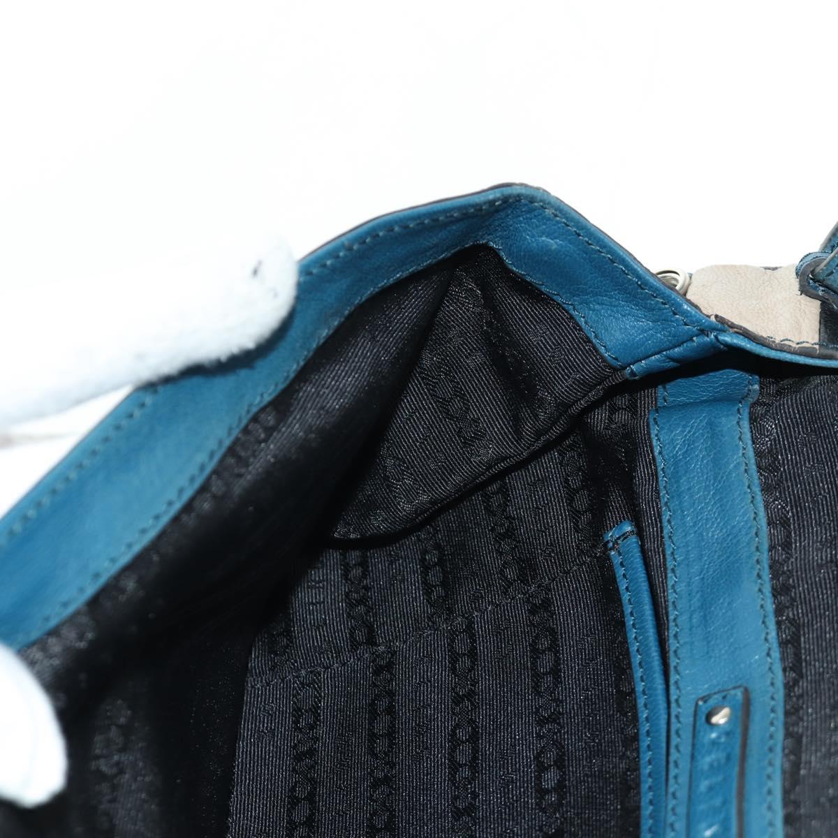 CELINE Shoulder Bag Leather Multicolor Silver Auth 173632V