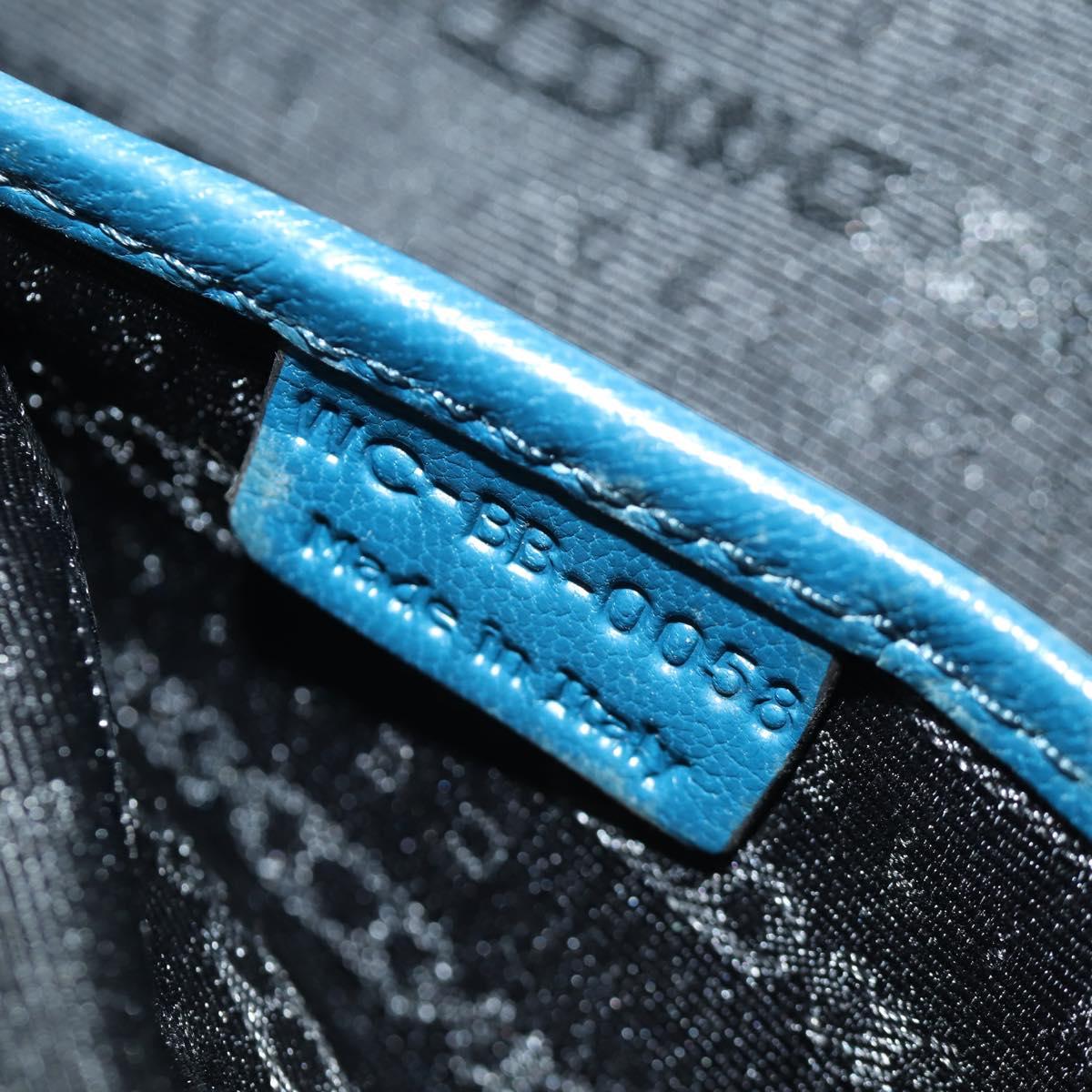 CELINE Shoulder Bag Leather Multicolor Silver Auth 173632V