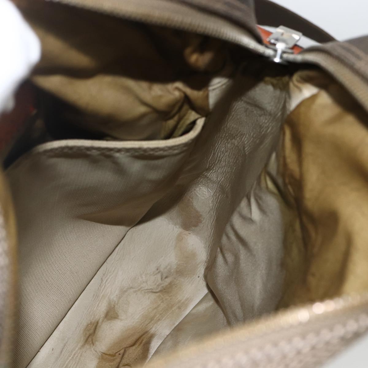 LOUIS VUITTON Damier Geant Sitadan MM Shoulder Bag Brown M93040 LV Auth 174035