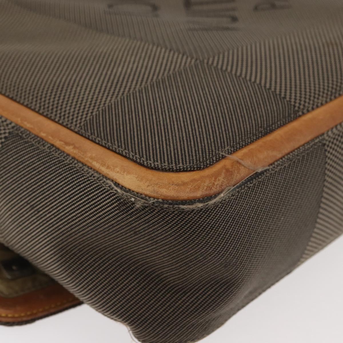 LOUIS VUITTON Damier Geant Messager Shoulder Bag Tail M93030 LV Auth 176308