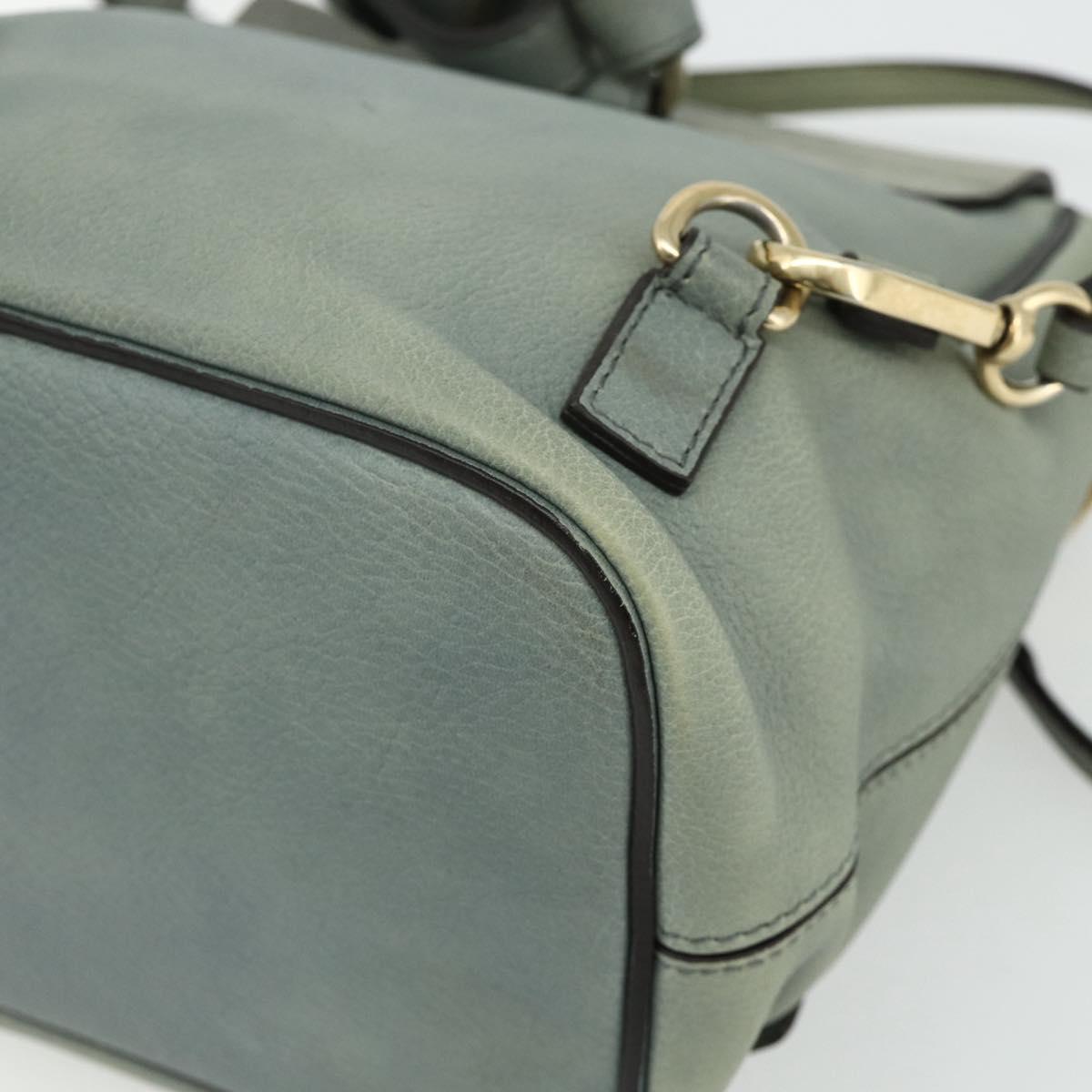 Chloe Fay Backpack Suede Leather 2way Gold Light green Auth 177032