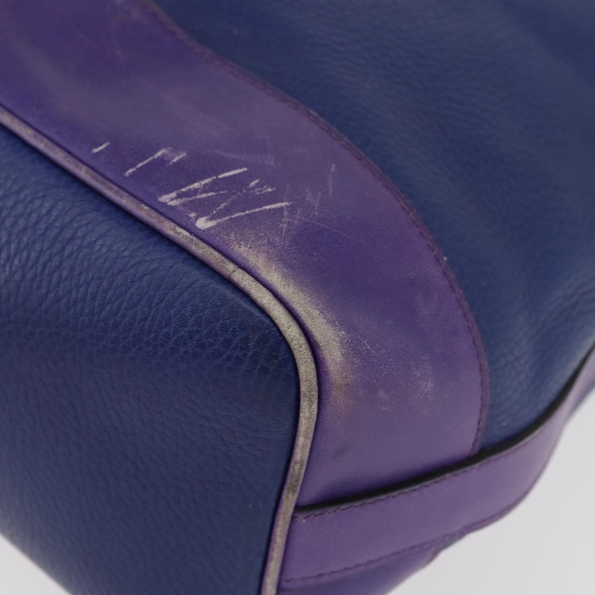 CELINE Shoulder Bag Leather Blue Silver Auth 177062
