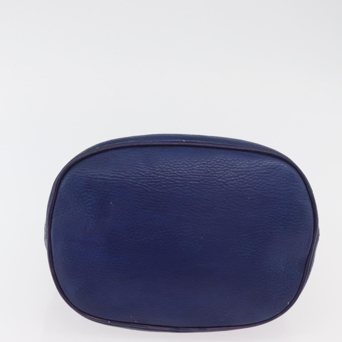 CELINE Chain Shoulder Bag Leather Blue Silver Auth 177125A