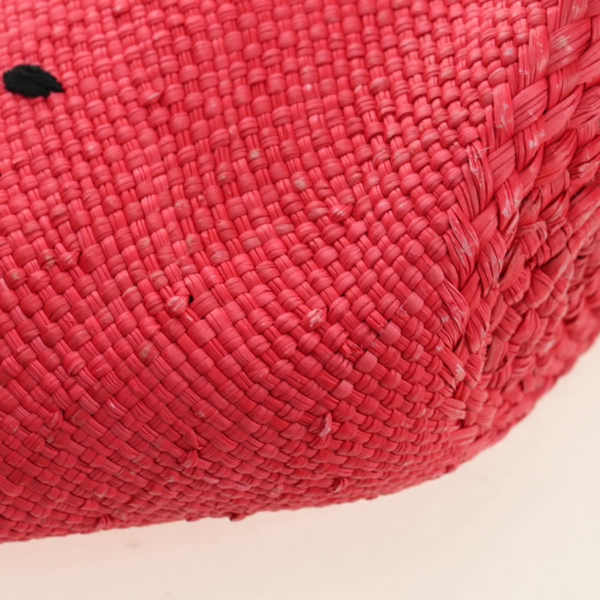 LOEWE Watermelon Tote Bag Raffia 2way Red Auth 177162SAV