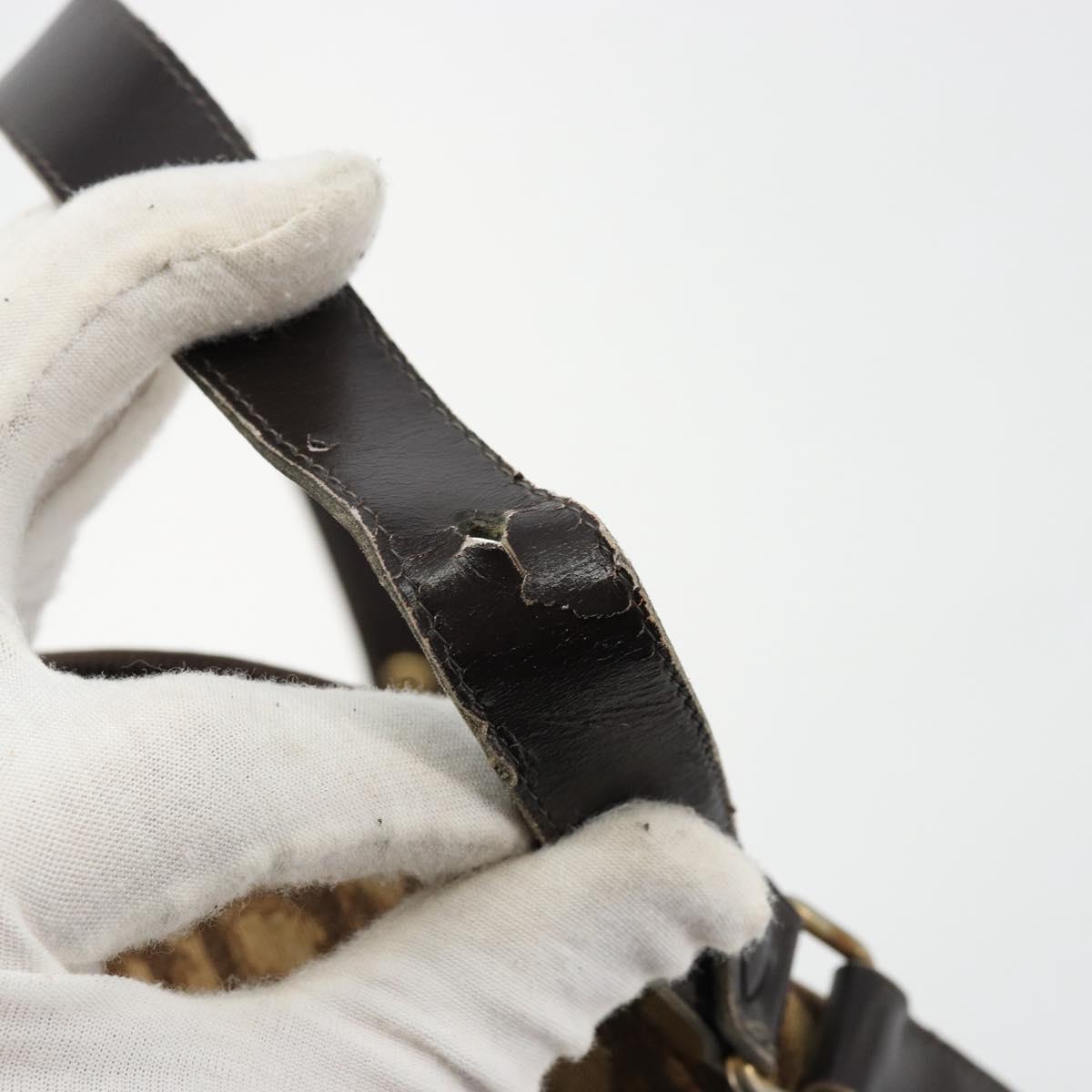 Christian Dior Trotter Canvas Shoulder Bag Brown Gold Auth 177825