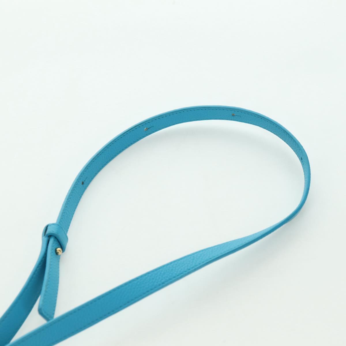 LOEWE Amazonas 23 Hand Bag Leather 2way Light Blue Gold Auth 179711V