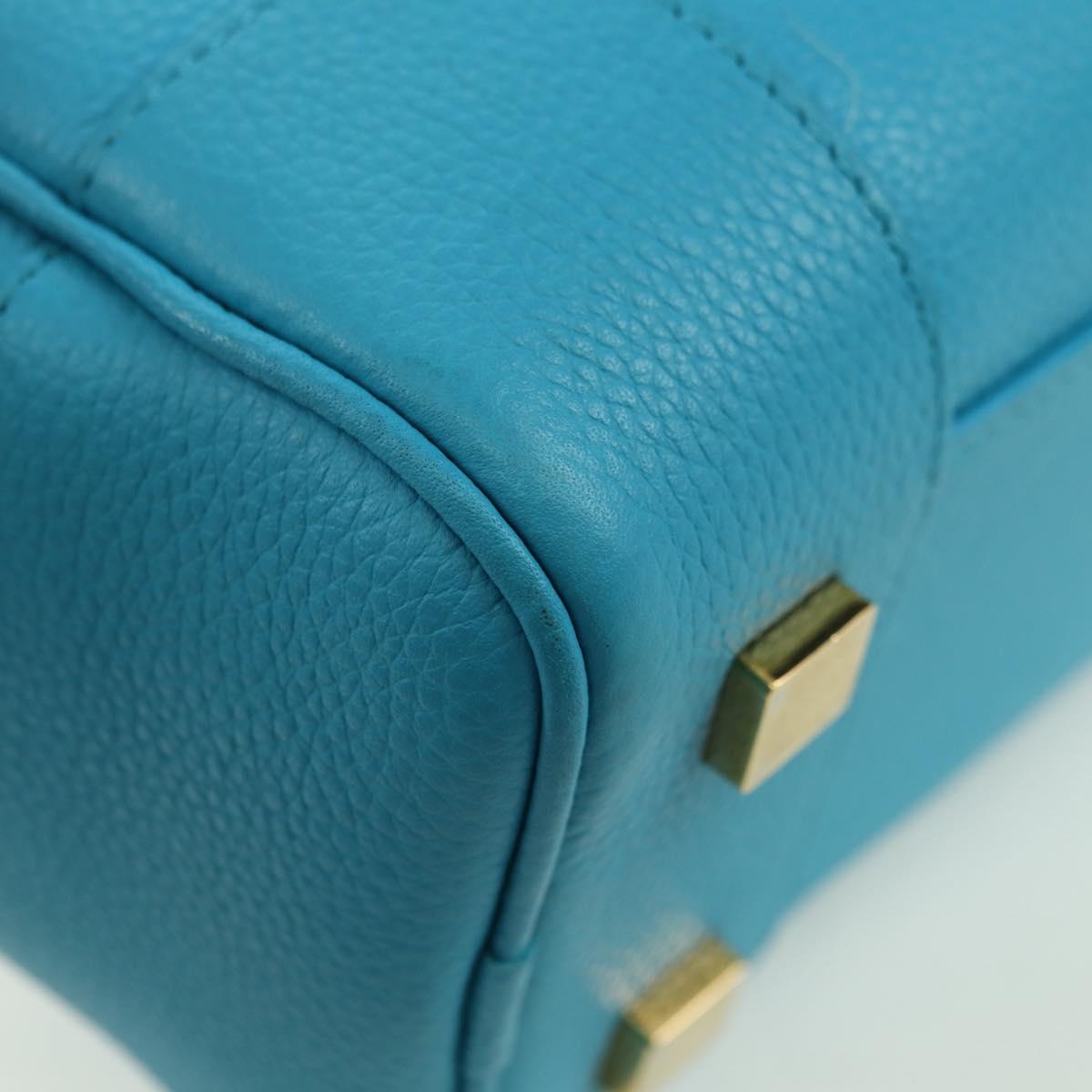 LOEWE Amazonas 23 Hand Bag Leather 2way Light Blue Gold Auth 179711V