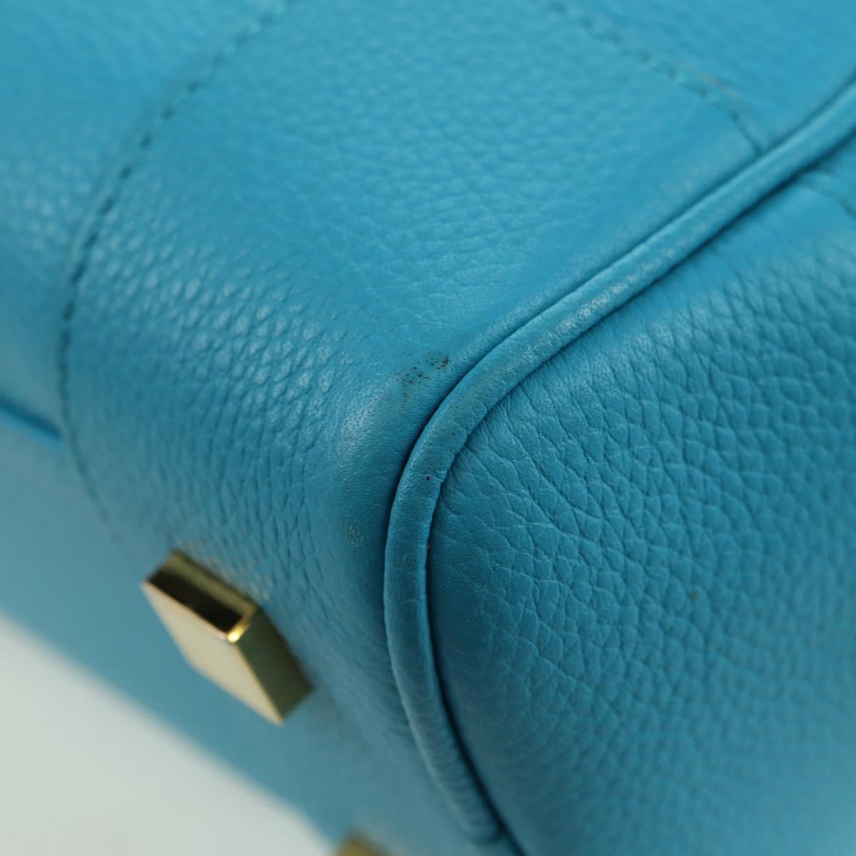 LOEWE Amazonas 23 Hand Bag Leather 2way Light Blue Gold Auth 179711V