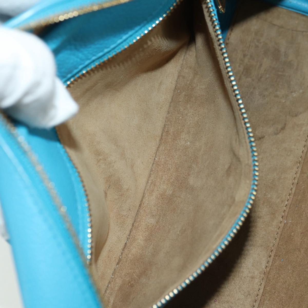 LOEWE Amazonas 23 Hand Bag Leather 2way Light Blue Gold Auth 179711V