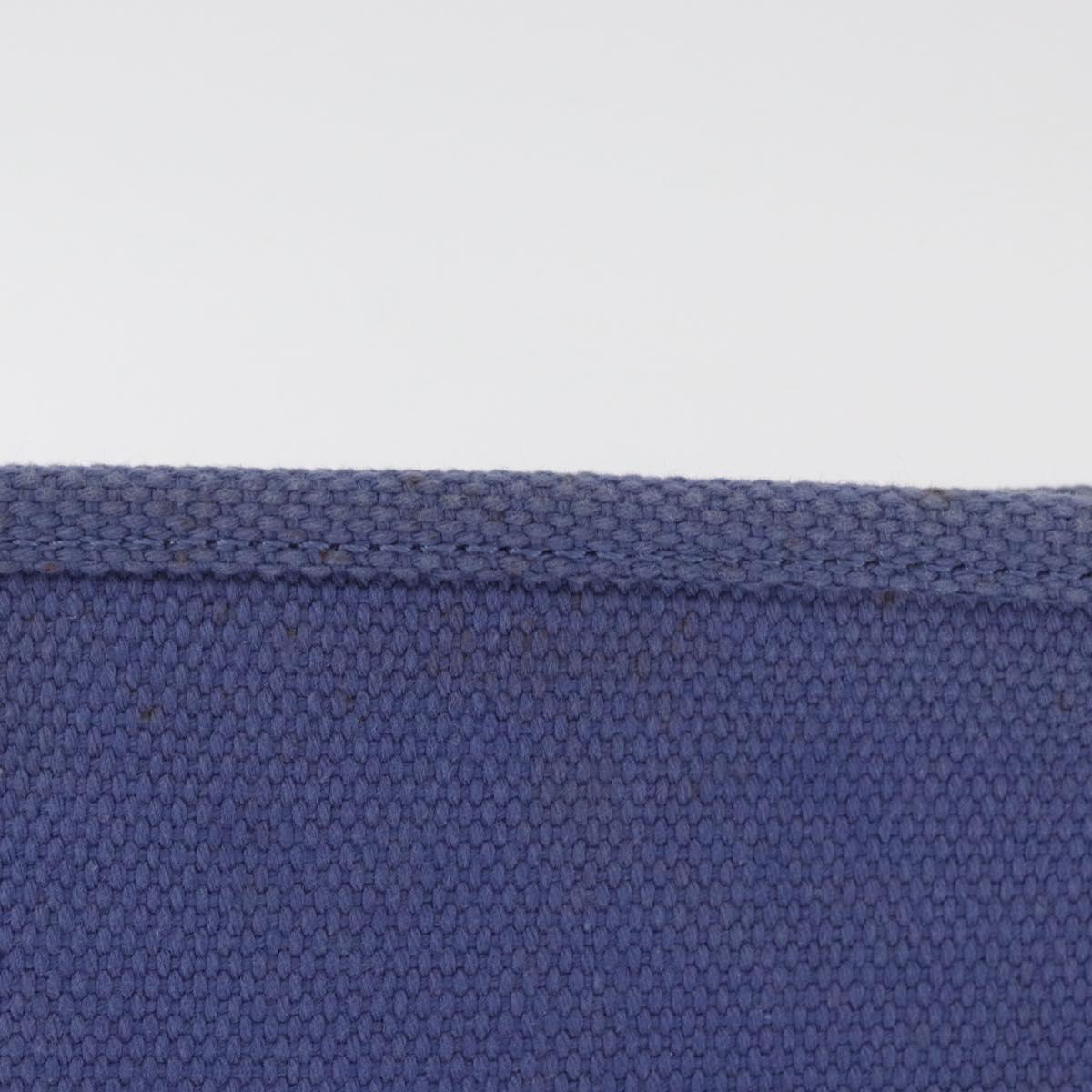 LOUIS VUITTON Antigua Pochette Platt PM Pouch Blue M40070 LV Auth 179777V