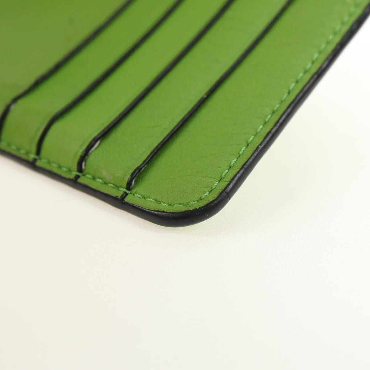 LOEWE Fragment Case My Neighbor Totoro Leather Green Silver Auth 181483SM