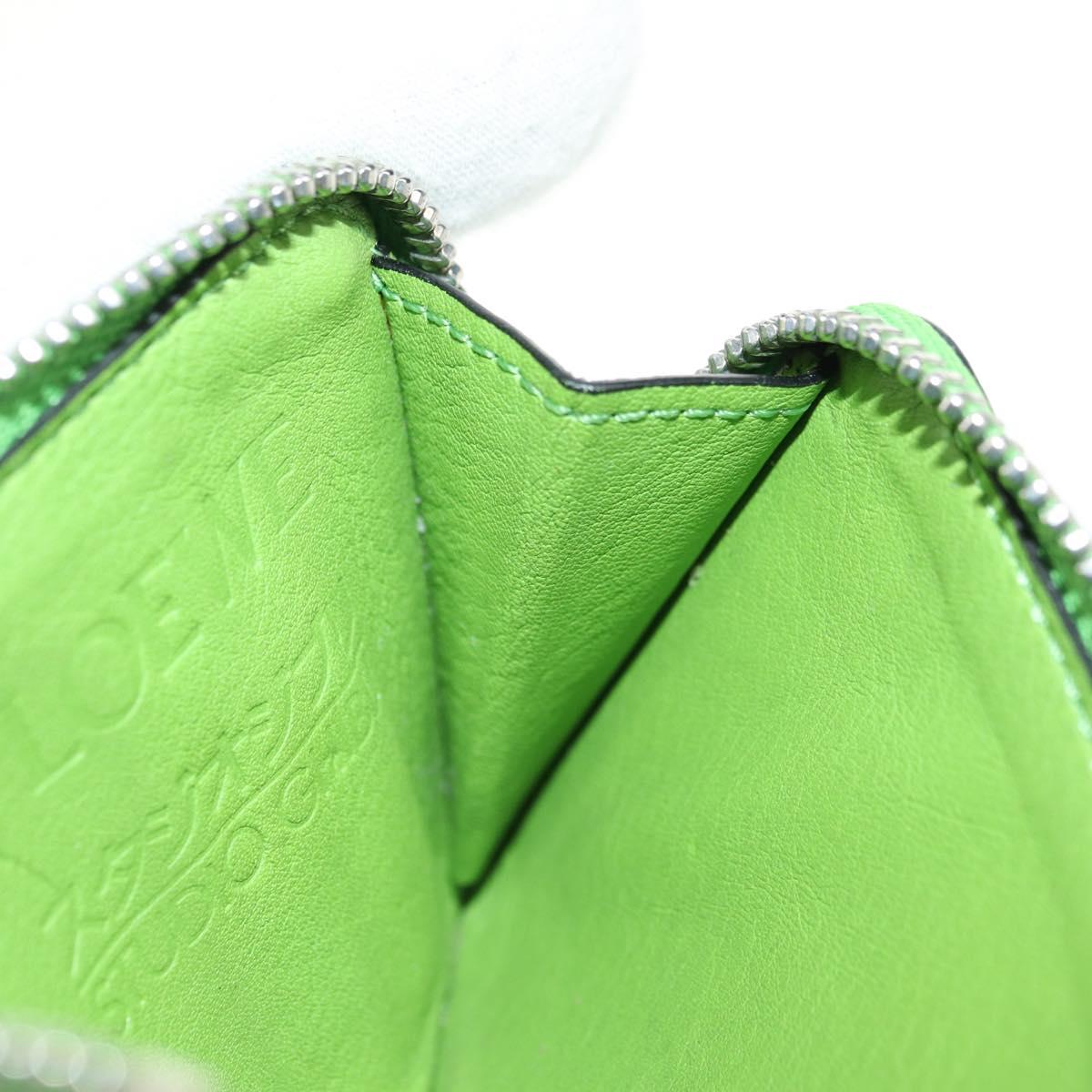 LOEWE Fragment Case My Neighbor Totoro Leather Green Silver Auth 181483SM