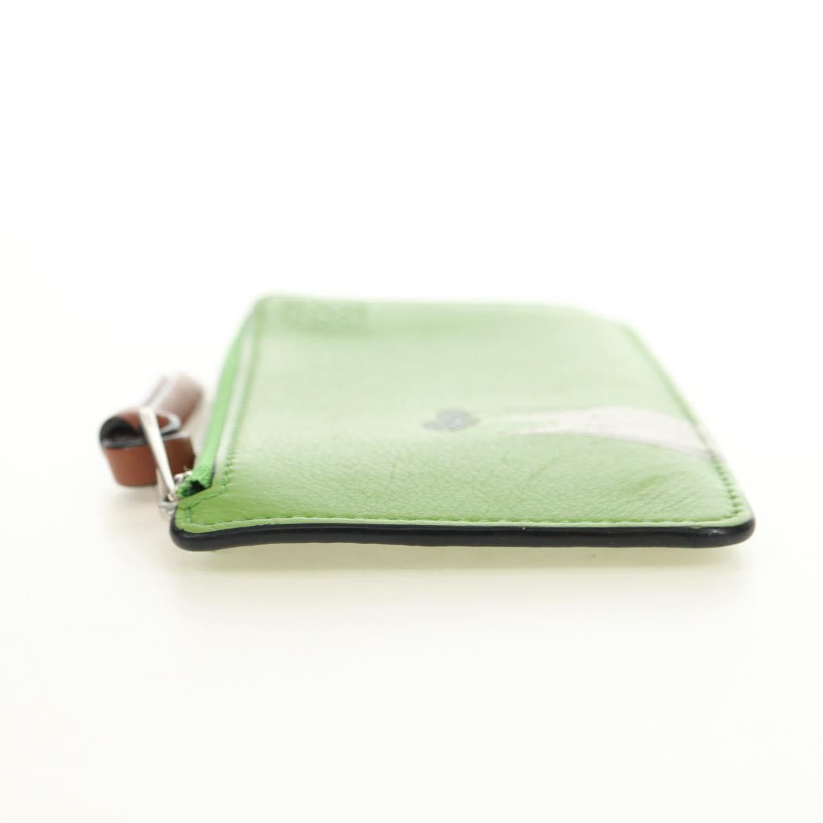 LOEWE Fragment Case My Neighbor Totoro Leather Green Silver Auth 181483SM