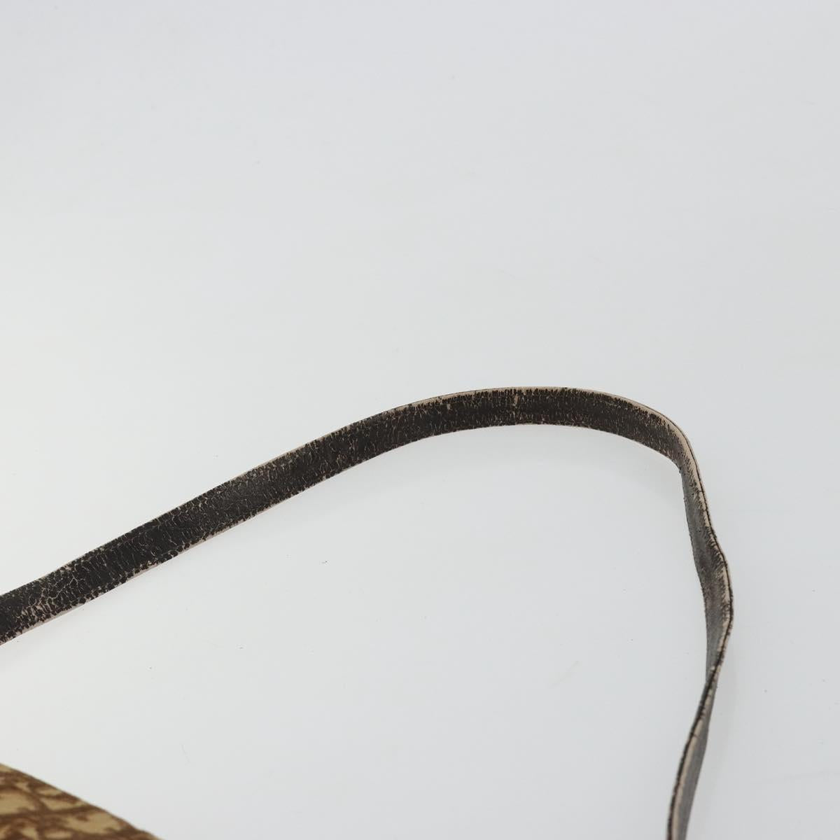 Christian Dior Trotter Canvas Shoulder Bag Brown Gold Auth 182147