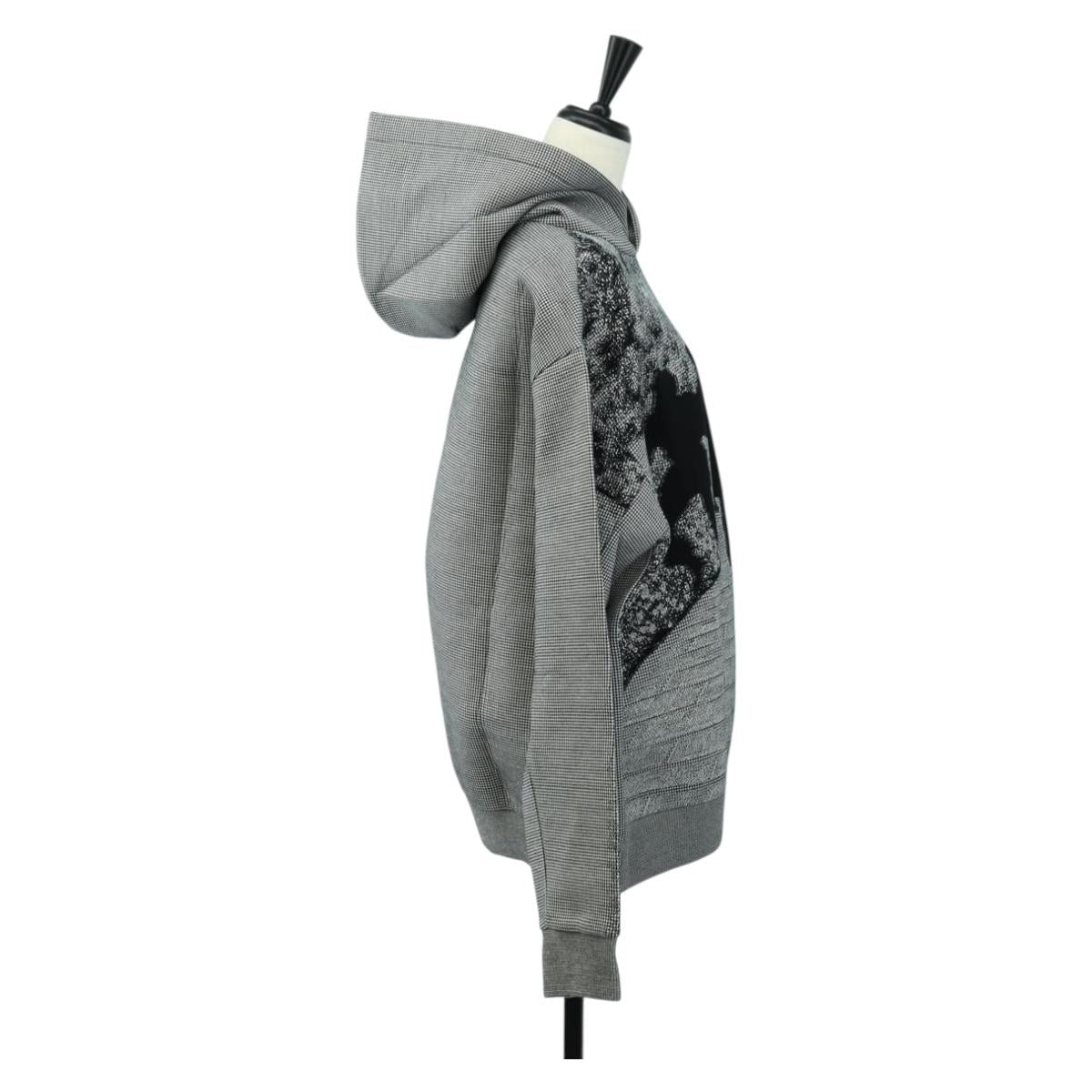 LOUIS VUITTON Wizard of Oz Hoody Cotton S Gray LV Auth 182322SM