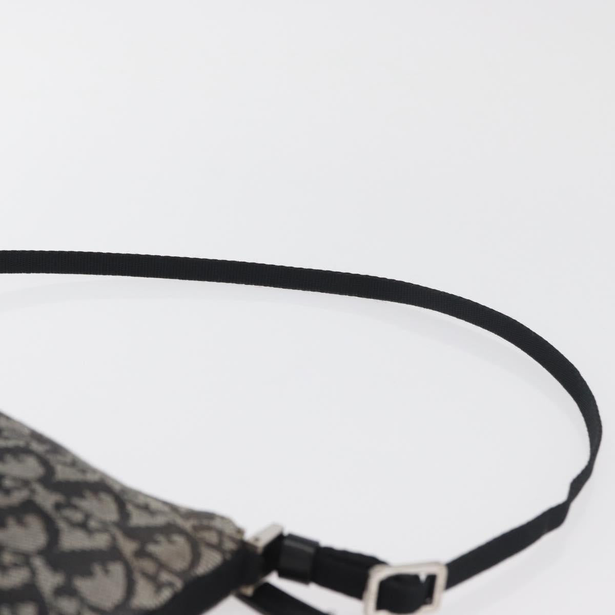 Christian Dior Trotter Canvas Accessory Pouch Gray Silver Auth 182611SAV
