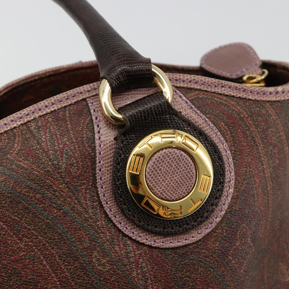 ETRO Hand Bag PVC Leather Brown Gold Auth 183273A