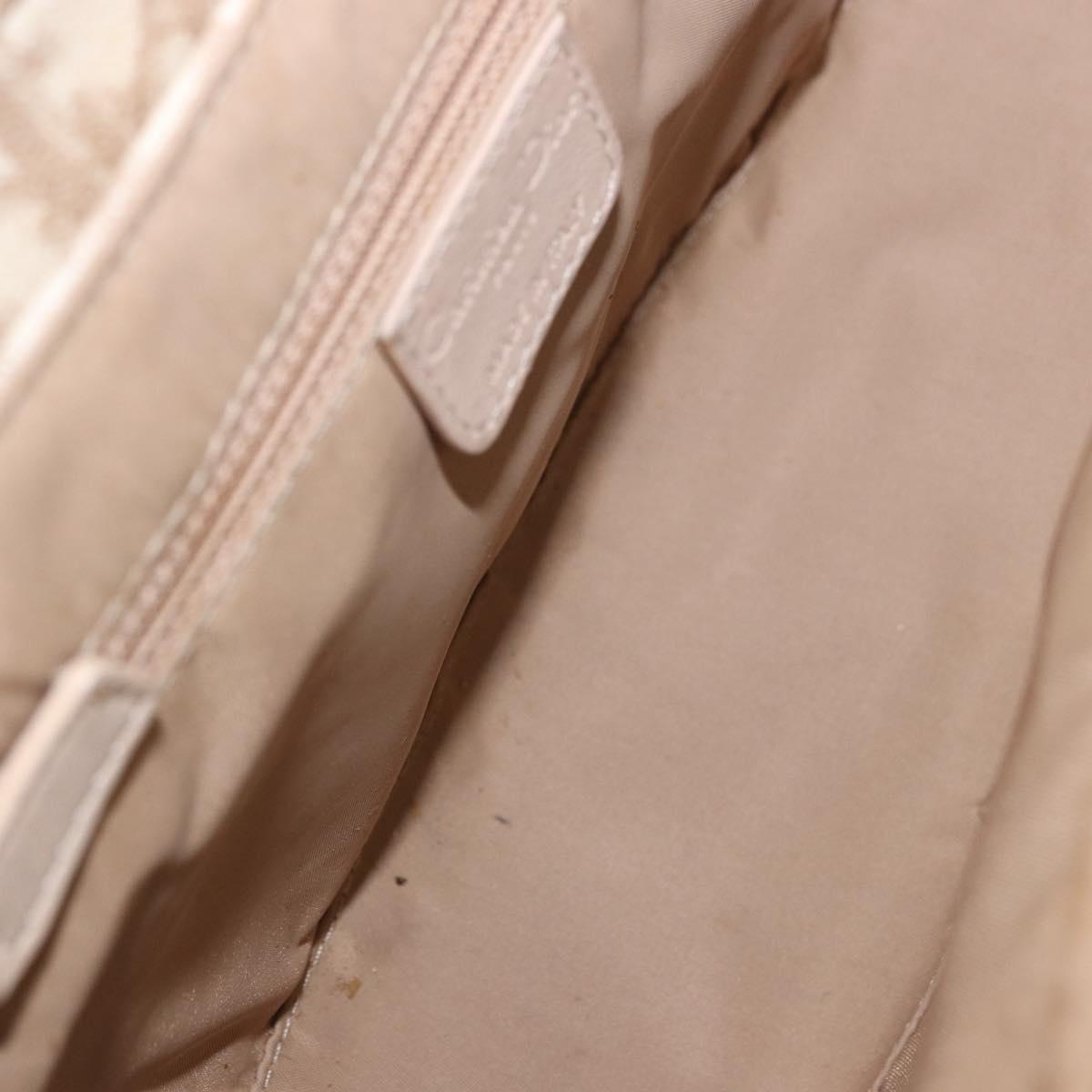 Christian Dior Trotter Canvas Chain Hand Bag PVC Beige Silver Auth 183359A