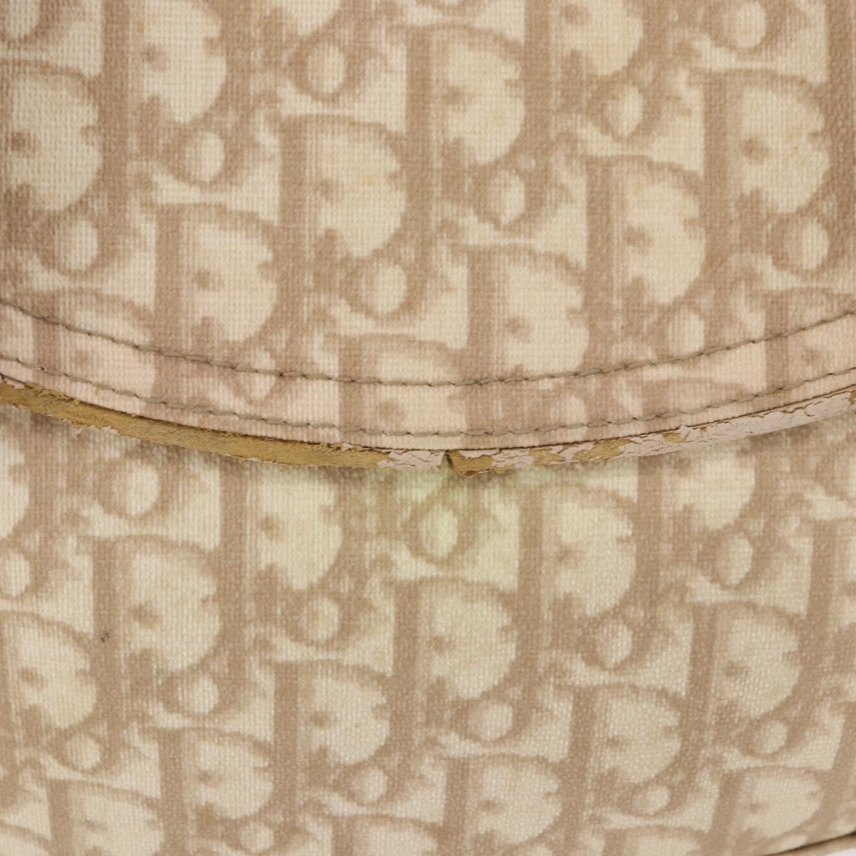 Christian Dior Trotter Canvas Chain Hand Bag PVC Beige Silver Auth 183359A