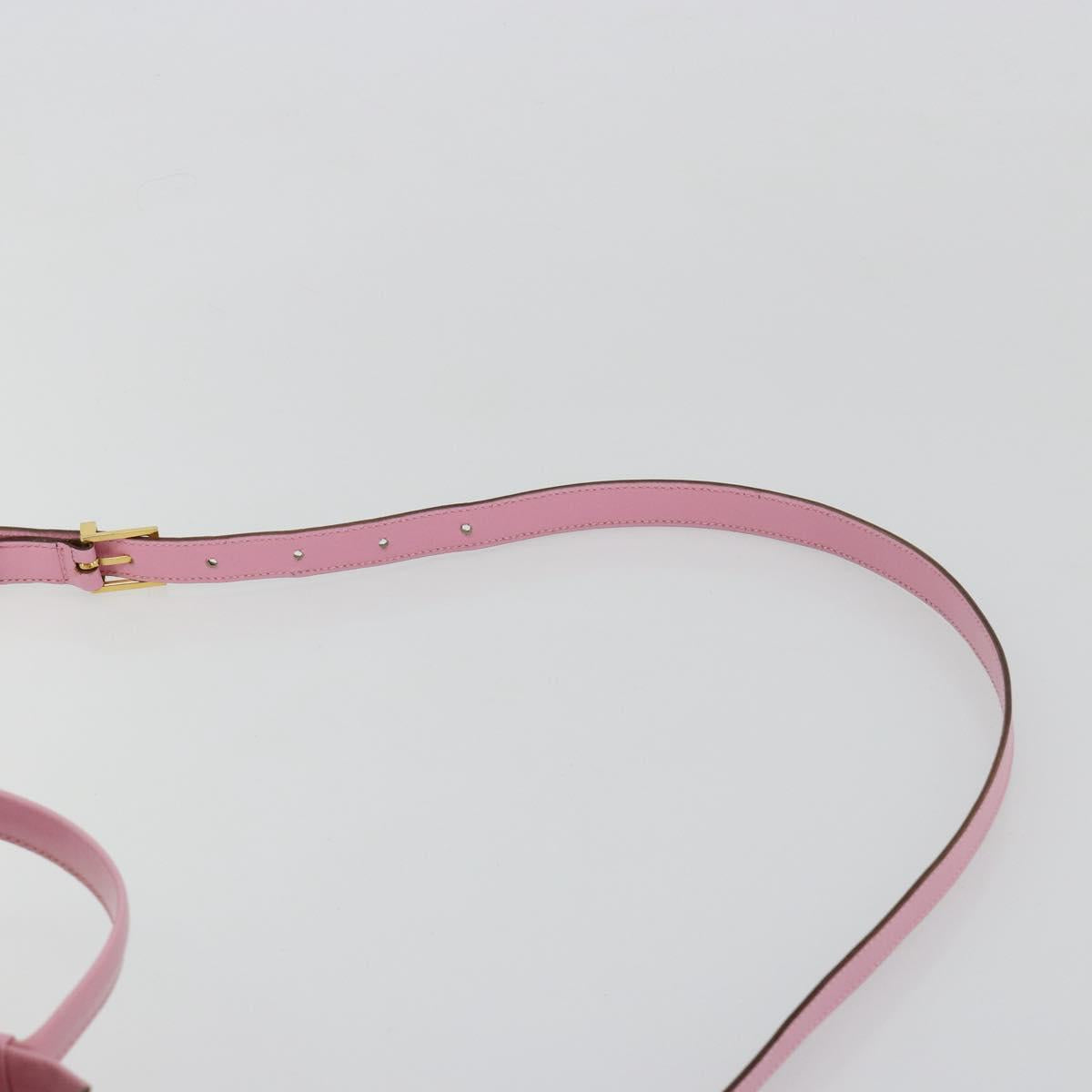 CELINE Vanity Shoulder Bag Leather 2way Gold Pink Auth 183776A