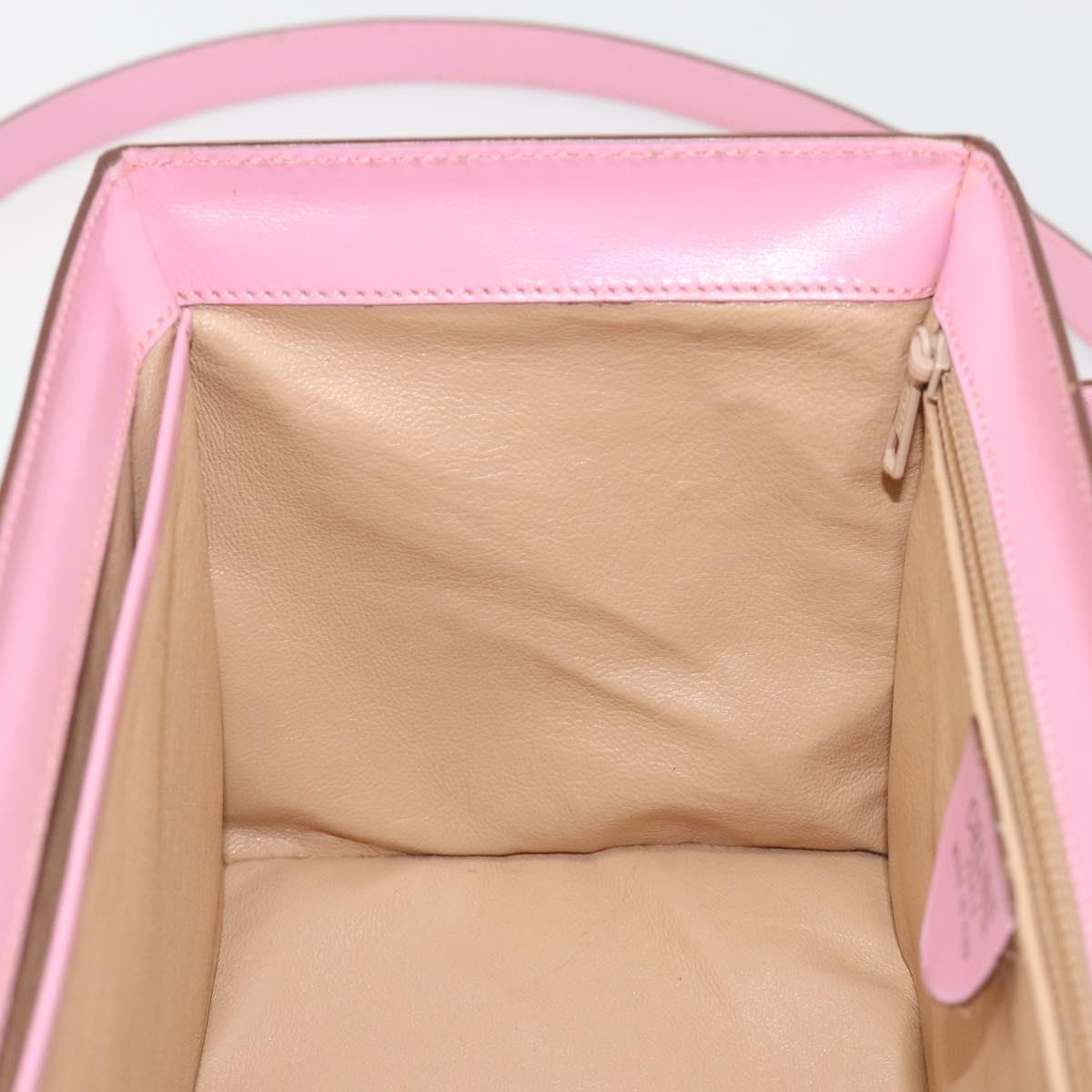 CELINE Vanity Shoulder Bag Leather 2way Gold Pink Auth 183776A