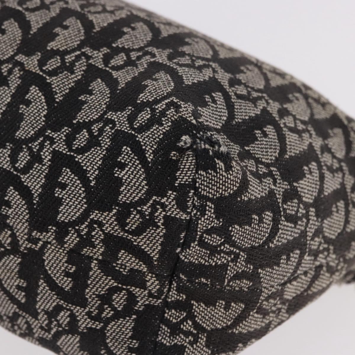 Christian Dior Trotter Canvas Hand Bag Black Silver Auth 183978