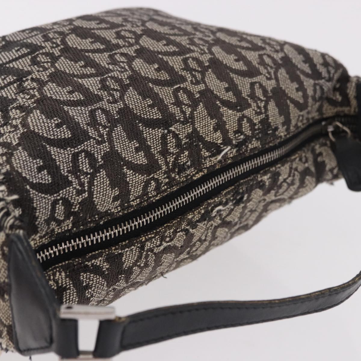 Christian Dior Trotter Canvas Hand Bag Black Silver Auth 183978