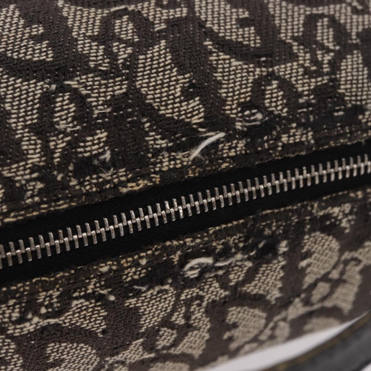 Christian Dior Trotter Canvas Hand Bag Black Silver Auth 183978