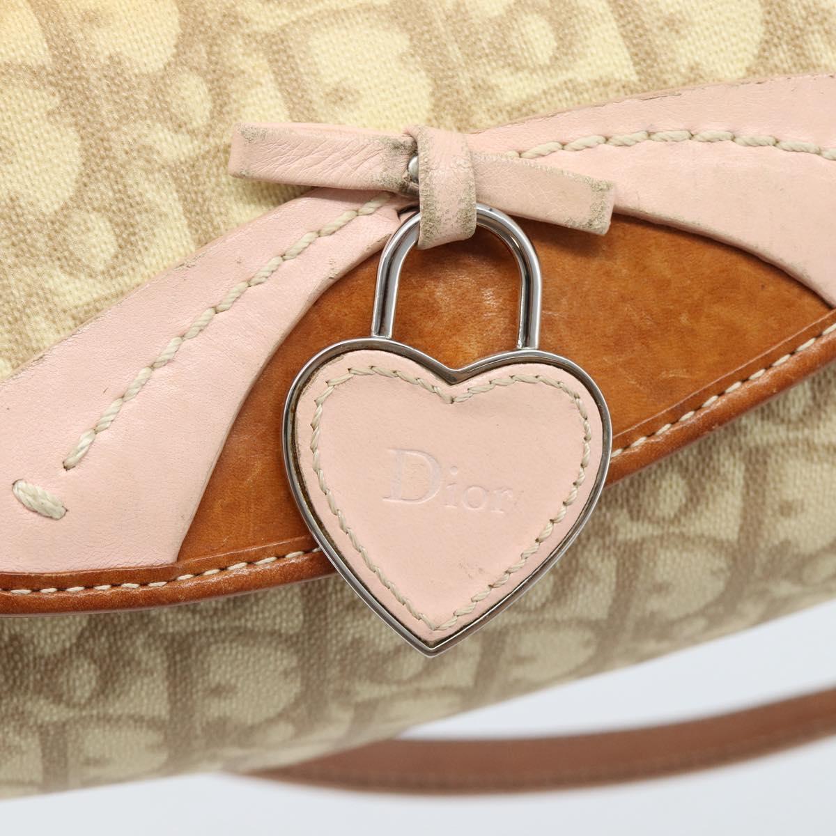Christian Dior Trotter Canvas Romantic Chain Bag PVC Beige Silver Auth 184195A
