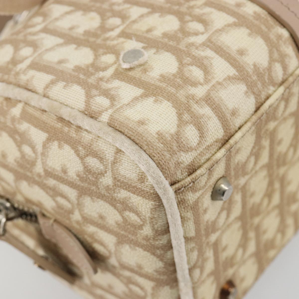 Christian Dior Trotter Canvas Romantic Chain Bag PVC Ivory Silver Auth 184736