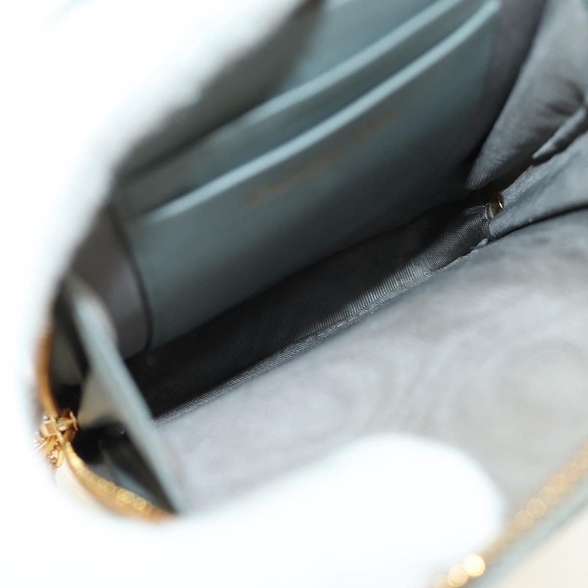 Christian Dior Oblique 30 Phone Case Trotter Canvas Chain Bag Gray Auth 184749M