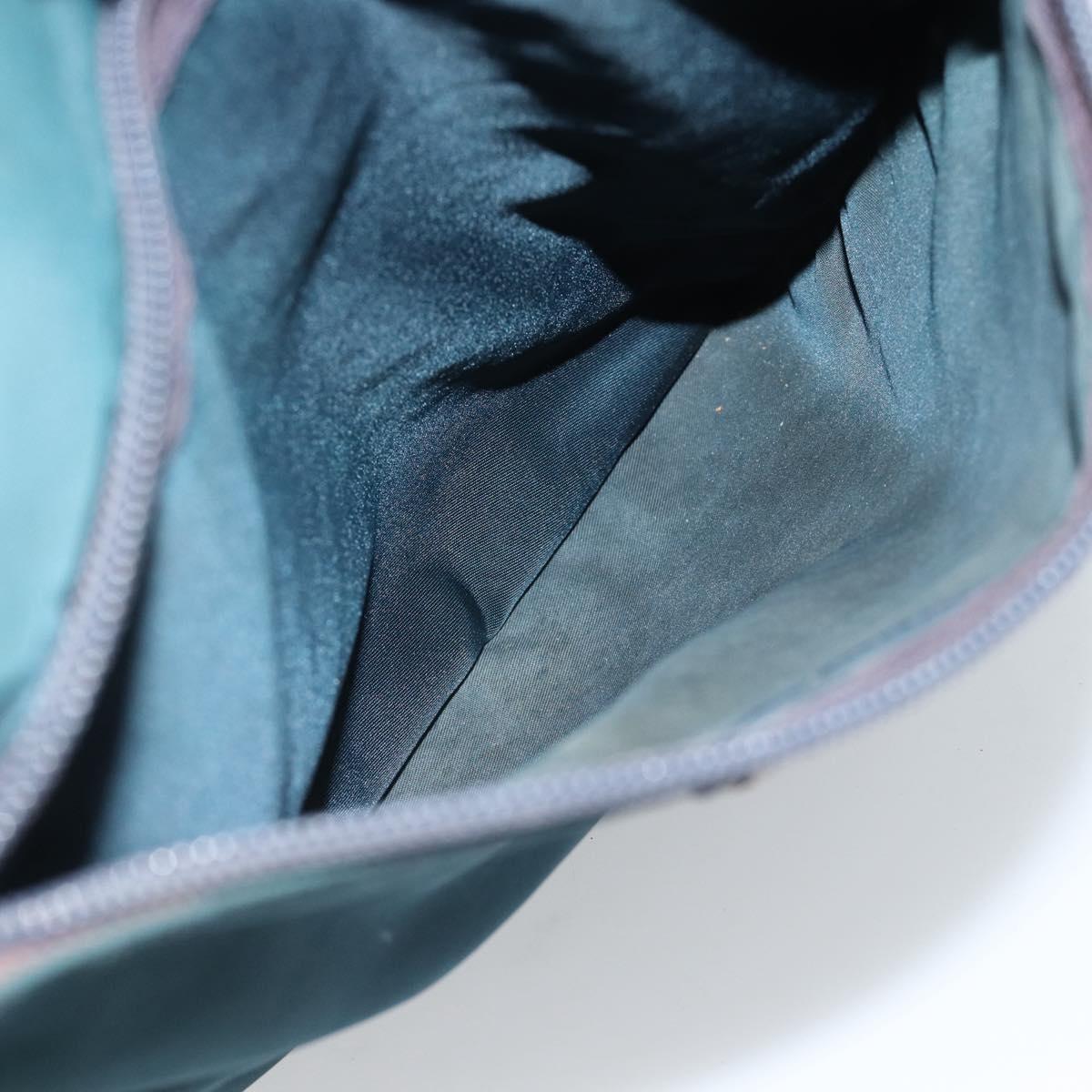 PRADA Shoulder Bag Nylon Blue Silver Auth 184803