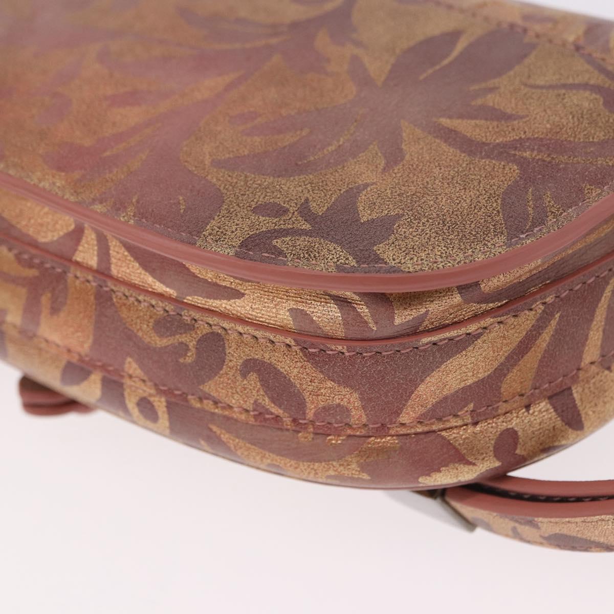 Christian Dior BOBBY EAST-WEST Shoulder Bag Leather Bronze Silver Auth 184842SM