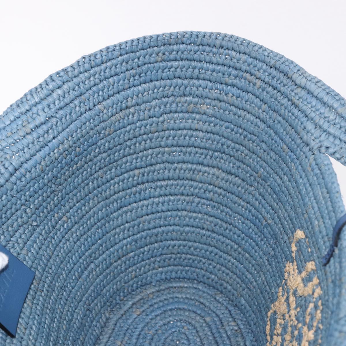 LOEWE Elephant Motif Hand Bag Raffia Light Blue Auth 185419SAM