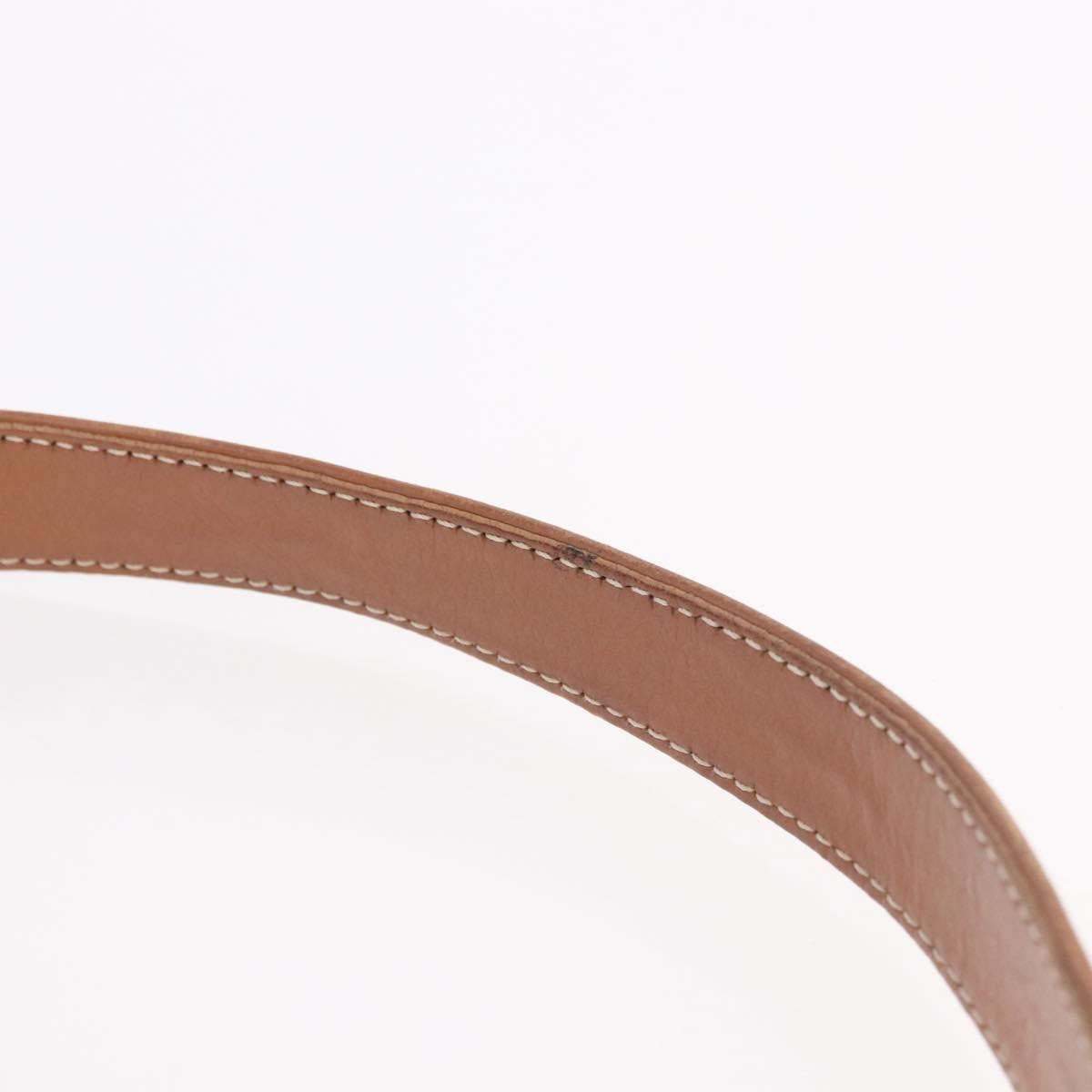 CELINE Shoulder Bag Leather Brown Gold Auth 185651V