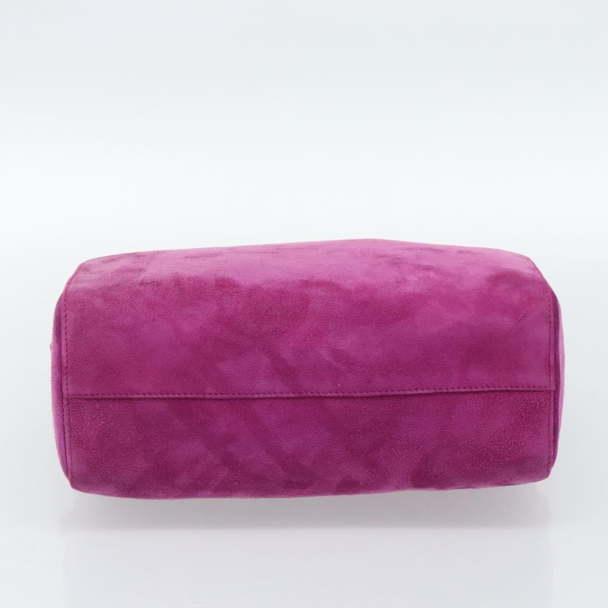 PRADA Hand Bag Suede Purple Gold Auth 185913