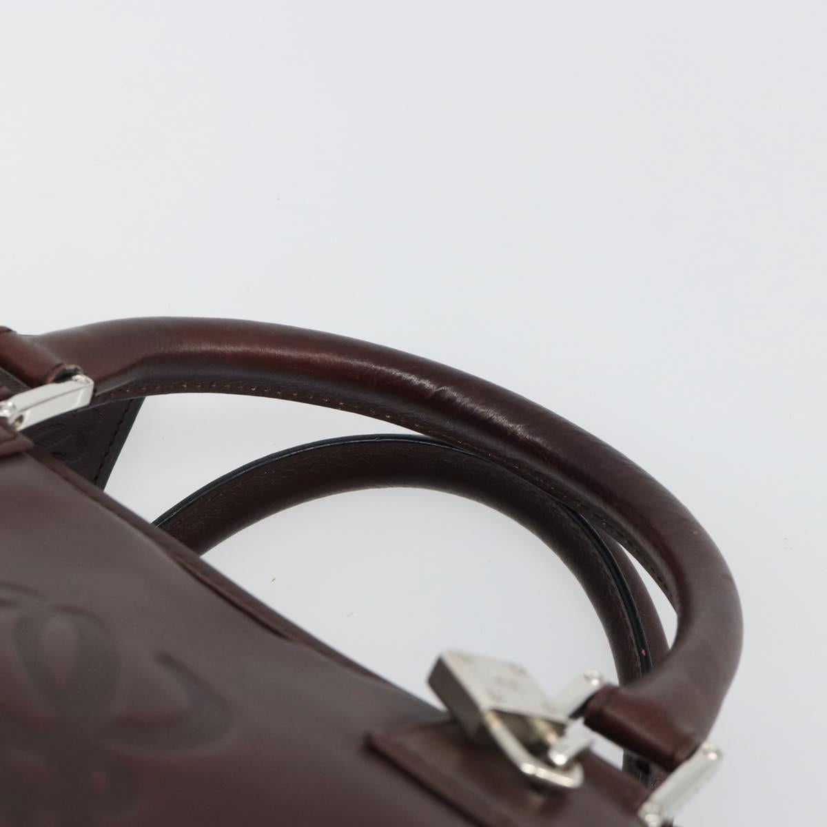 LOEWE Amazona 36 Hand Bag Leather Brown Silver Auth 186080V