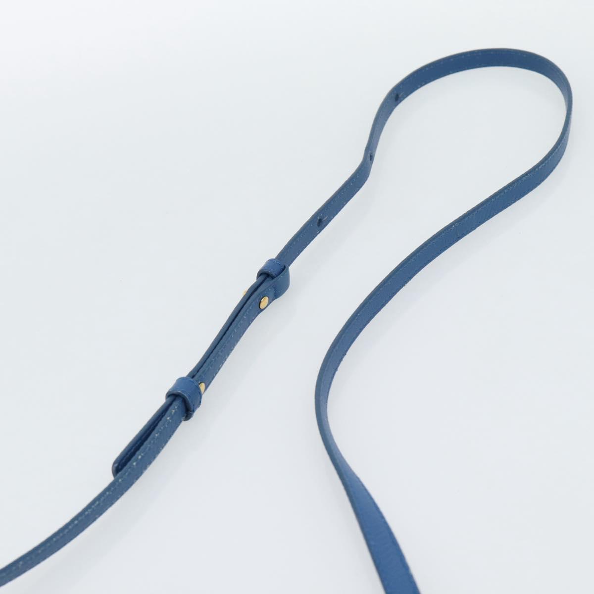 CELINE Trio Shoulder Bag Leather Blue Gold Auth 186131